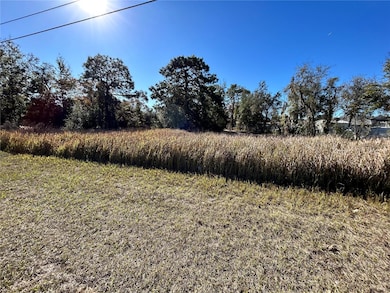0 E Hwy 25 unit MFROM691737, Belleview, FL 34421 - photo 4