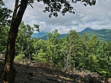 17 Buckhead Hills, Hiawassee, GA 30546 - photo 5