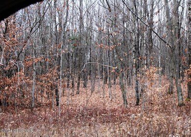 IMG_2533