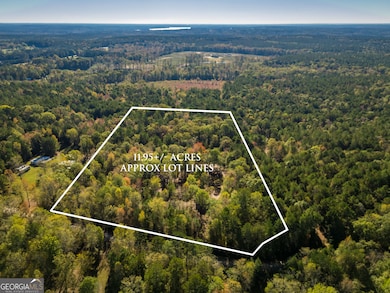 2040 Trimble Bridge Rd, Madison, GA 30650 - photo 4