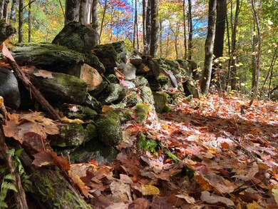 95 Highbridge Rd, Lyme, NH 03768 - photo 5