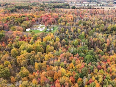 10 Bradley Brownlee Rd, Cortland, OH 44410 - photo 3