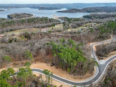 Lot 8 Blisslake Ln, Rogers, AR 72756 - photo 2