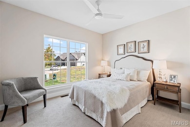 144 Columbia Meadows Ln, O'Fallon, MO 63366 - photo 2