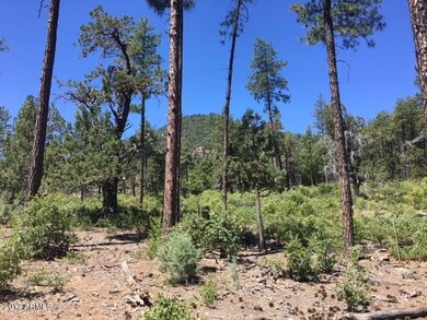 37 Strawberry Hollow Dr unit 37, Pine, AZ 85544 - photo 3