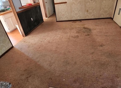 328 Michael Ln, Ironton, MO 63650 - photo 3