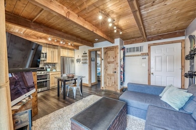 100 Cove Blvd unit B, Dillon, CO 80435 - photo 2