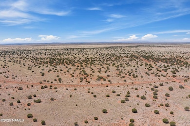 3628 E Valencia Rd unit Lot J, Williams, AZ 86046 - photo 4