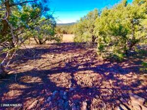 20220107072808650294000000