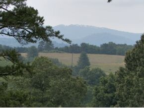 Your view from carport