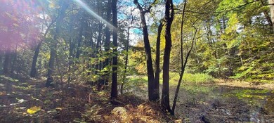 Lot-D Harkness Rd, Amherst, MA 01002 - photo 2