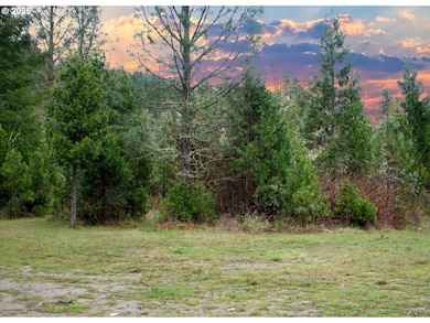 13756 Buckhorn Rd, Glide, OR 97443 - photo 3