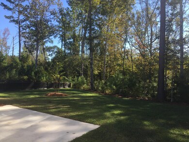 Russell back yard