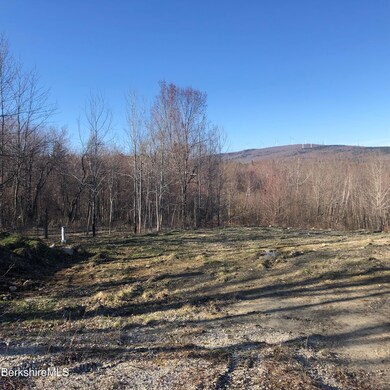 unlisted-address, Florida, MA 01247 - photo 3