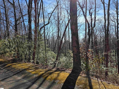 112 Birchbend, Caesars Head, SC 29635 - photo 2