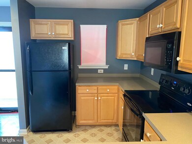 36525 Palm Dr unit 5203, Rehoboth Beach, DE 19971 - photo 3