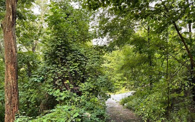 Additional View