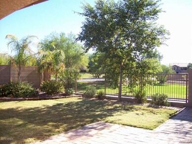 Yard