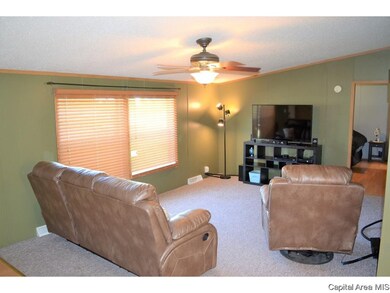 202 W Springfield St, Virginia, IL 62691 - photo 2