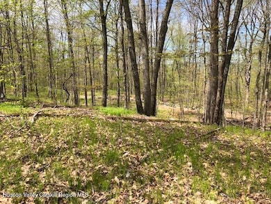 TBD Lily Lake Rd, Highland, NY 12528 - photo 4