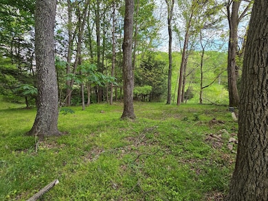 39075 Widener Valley Rd, Chilhowie, VA 24319 - photo 5