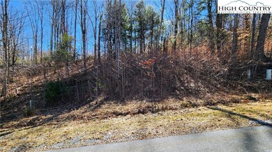 36 Running Bear Cir, Banner Elk, NC 28604 - photo 7