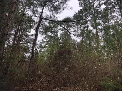 View of landscape featuring a wooded view