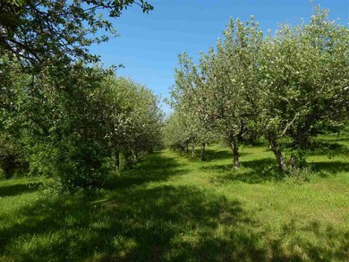 248 Wheeler Rand Rd, Charles Town, NH 03603 - photo 4