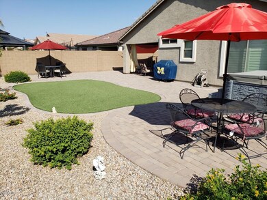 Back yard 2