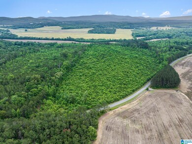 0 County Road 12 unit 21419015, Centre, AL 35960 - photo 5