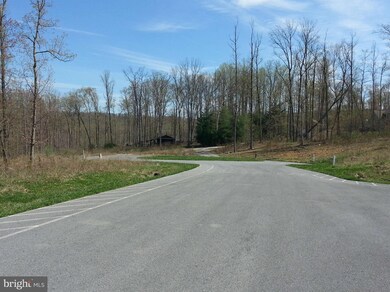 0 Mentzer Gap Rd unit 1003454994, Waynesboro, PA 17268 - photo 2