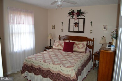 276 Miller Dr, Strasburg, VA 22657 - photo 6