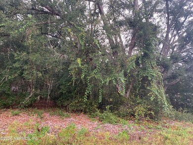 0250 Lenore Ave, Interlachen, FL 32148 - photo 3