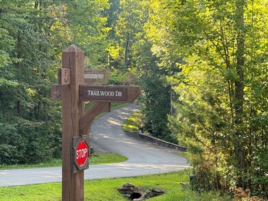 0 Trailwood Dr unit 407720, Ellijay, GA 30536 - photo 5