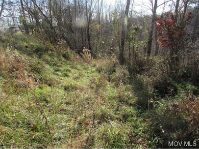 Old Trails
