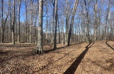 Lots 84-86 Meadows Loop, Russell Springs, KY 42642 - photo 4