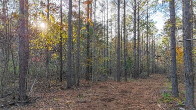 0 County Road 95 unit 177919, Lafayette, AL 36862 - photo 6