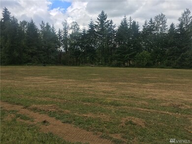 862 Highway 603, Chehalis, WA 98532 - photo 2