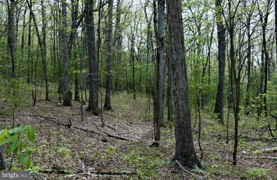 0 Catron Ridge Rd unit 1000405215, Bentonville, VA 22610 - photo 2