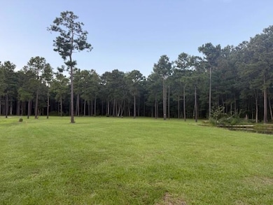 00 Myers Mayo Rd unit Lot 5, Ridgeville, SC 29472 - photo 2