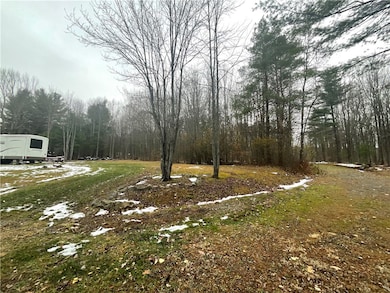 7788 Searles Rd, Friendship, NY 14739 - photo 4