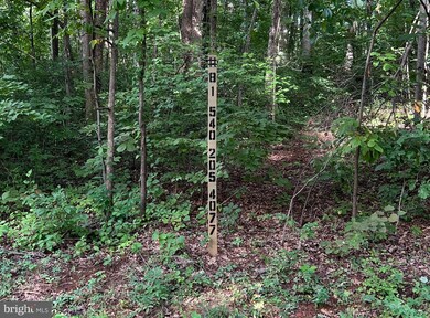 406 Wilderness Dr, Locust Grove, VA 22508 - photo 5