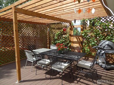 Back Deck