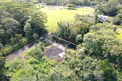 15-362 Mamo St, Pahoa, HI 96778 - photo 6