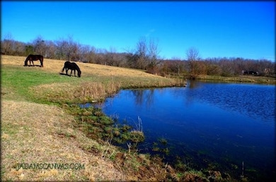 0 Earl Jones Rd, Crossville, TN 38555 - photo 4