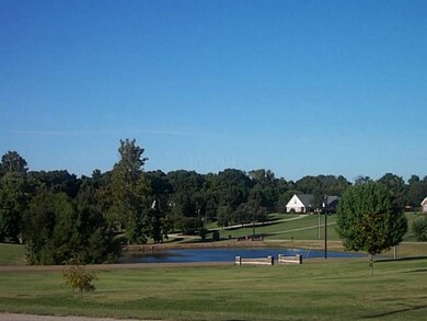 More water.  This is a great view of the neighbor'