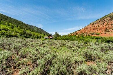 54 Spruce Rd, Basalt, CO 81621 - photo 7