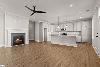 1325 S Pinot Rd, Duncan, SC 29334 - photo 3