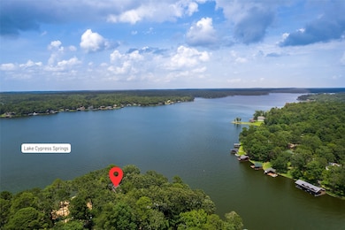 329 Hickory Hill Ln, Scroggins, TX 75480 - photo 3