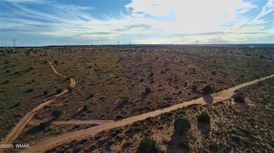 8694 Kasias Trail, Snowflake, AZ 85937 - photo 4